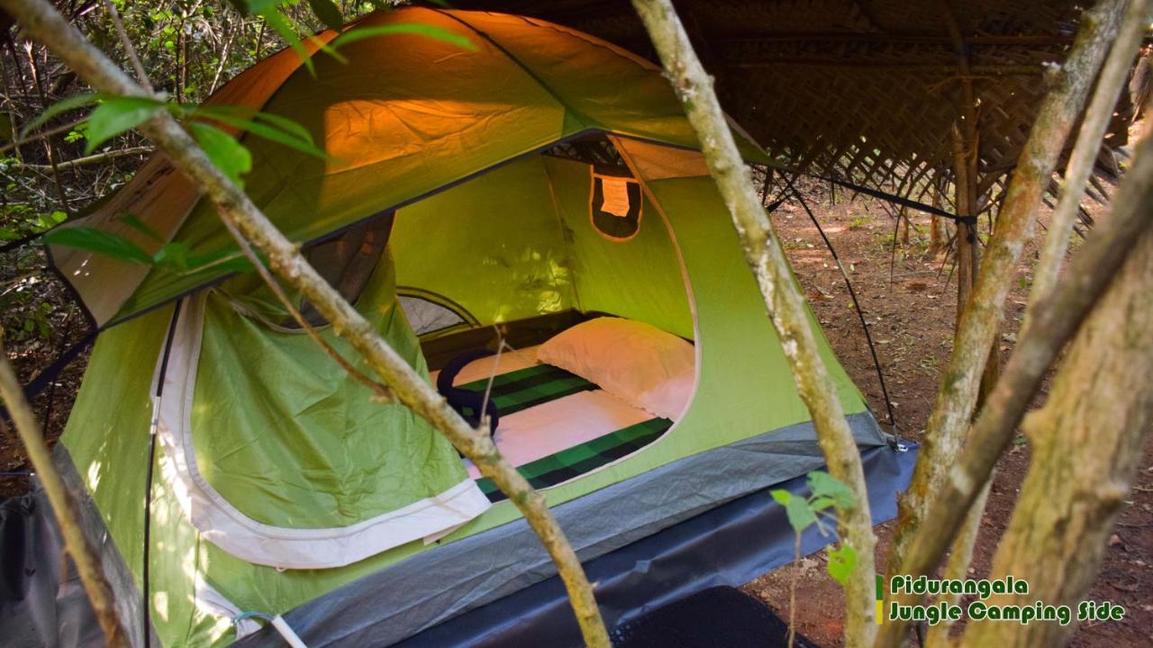 ホテル Sigiri Jungle Camping シギリヤ エクステリア 写真