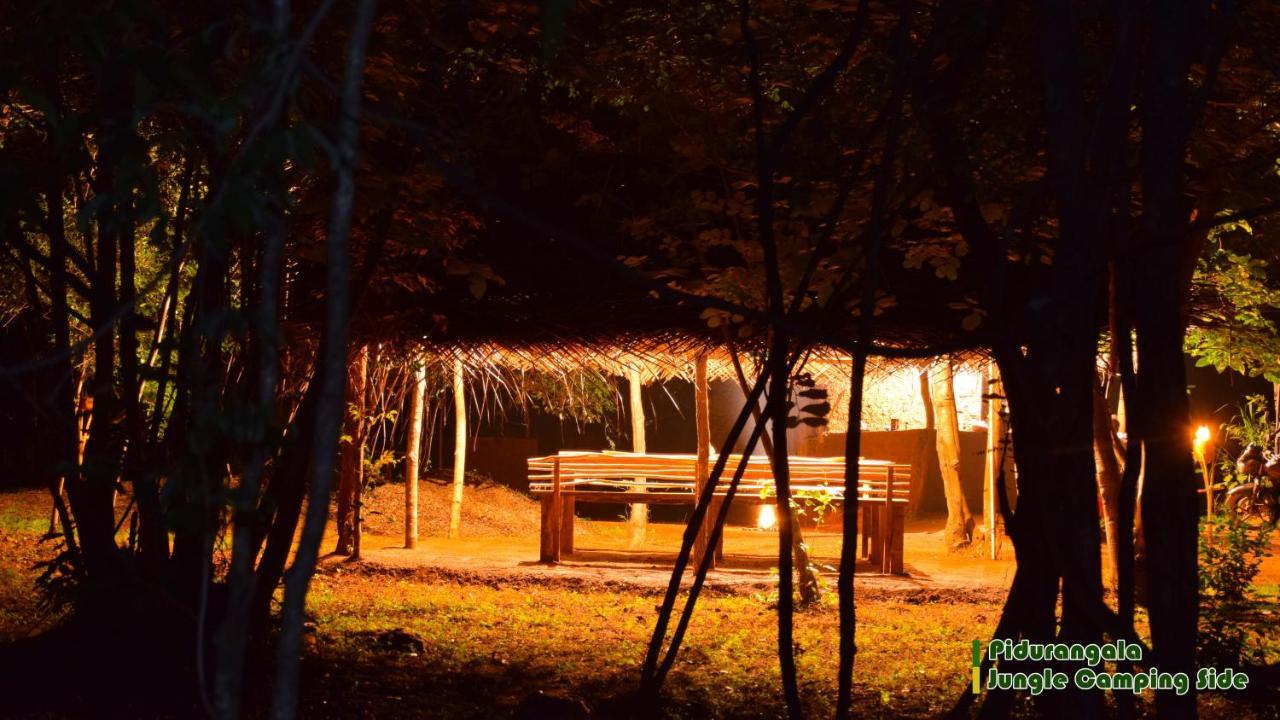 ホテル Sigiri Jungle Camping シギリヤ エクステリア 写真